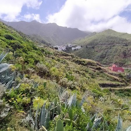 Casa-Solarium En La Naturaleza Santa Cruz de Tenerife Eksteriør bilde
