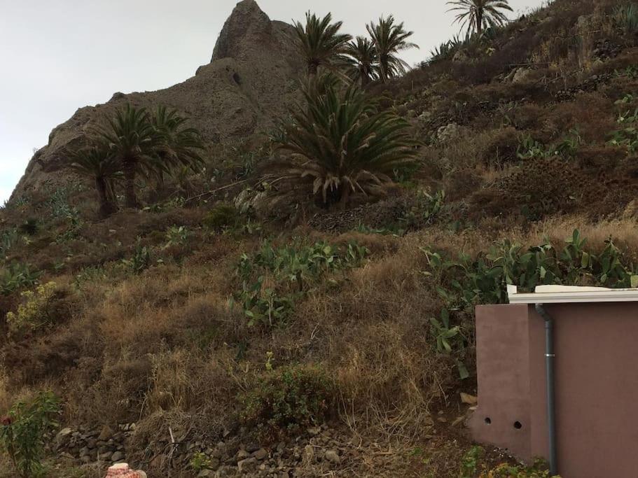 Casa-Solarium En La Naturaleza Santa Cruz de Tenerife Eksteriør bilde