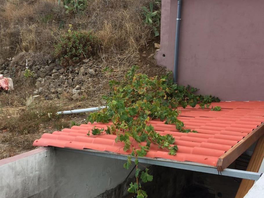 Casa-Solarium En La Naturaleza Santa Cruz de Tenerife Eksteriør bilde
